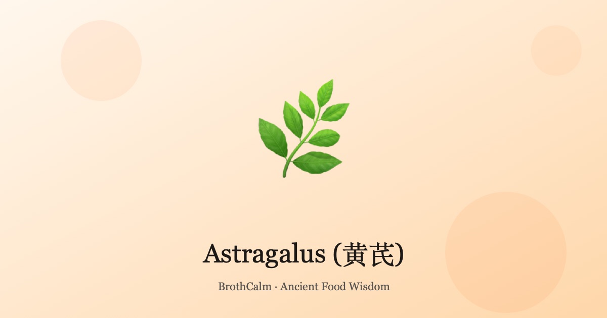 Astragalus (黄芪) — The Energy Root