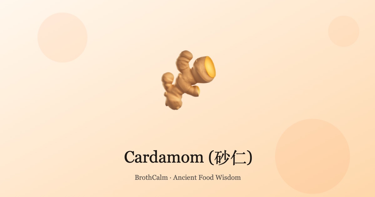 Cardamom (砂仁) — The Digestive Spice in Chinese Medicine