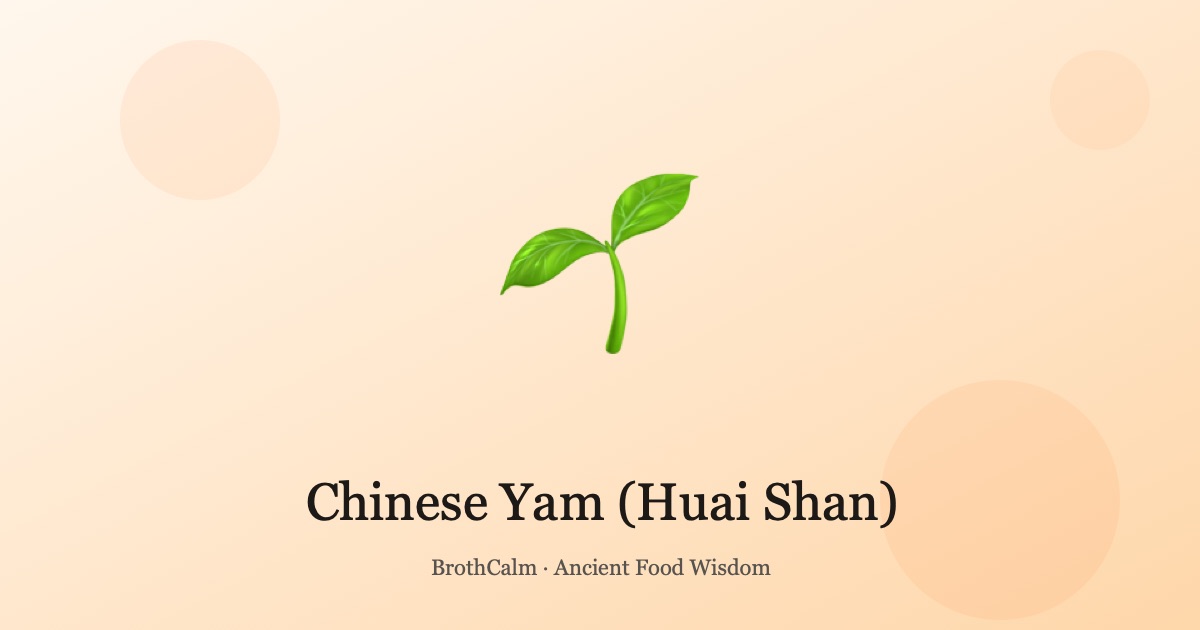 Chinese Yam (Huai Shan) — The Spleen and Lung Tonic
