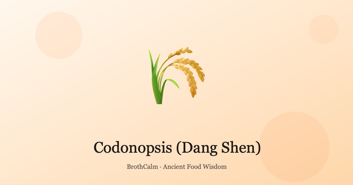 Codonopsis (Dang Shen) — The Gentle Qi Tonic Alternative