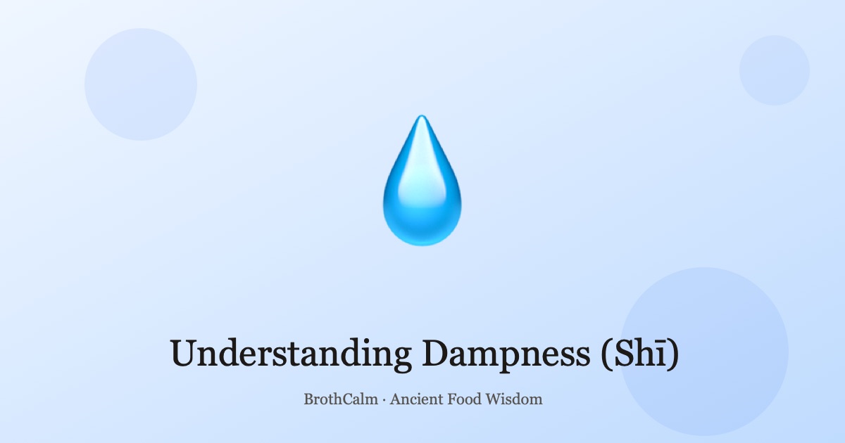 Understanding Dampness (Shī) — The Most Common TCM Imbalance