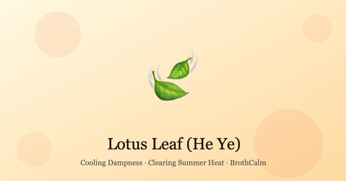 Dried lotus leaves - the cooling summer herb of Chinese food therapy