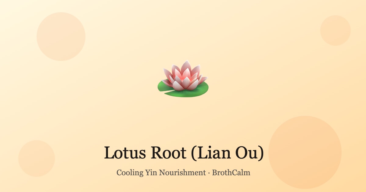 Lotus Root (Lian Ou) — Cooling Yin Nourishment from the Pond
