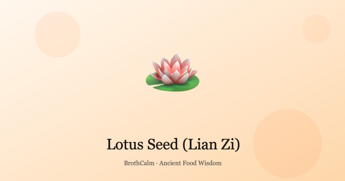 Lotus Seed (Lian Zi) — Calming the Shen and Strengthening th