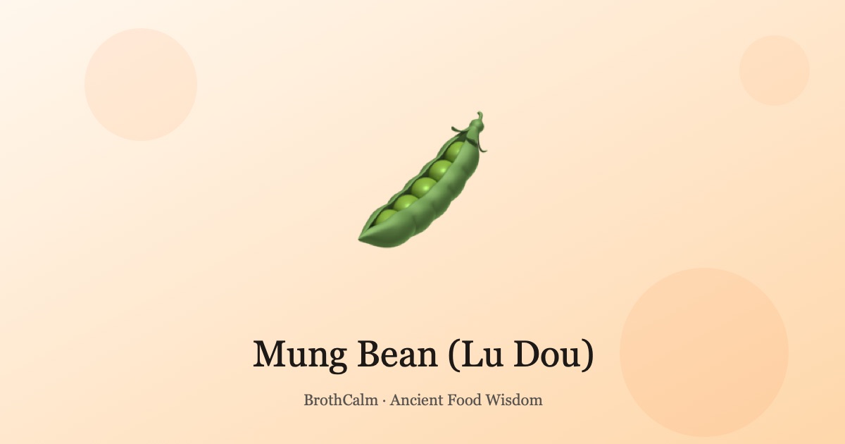 绿豆 — 清热解暑的夏季良品
