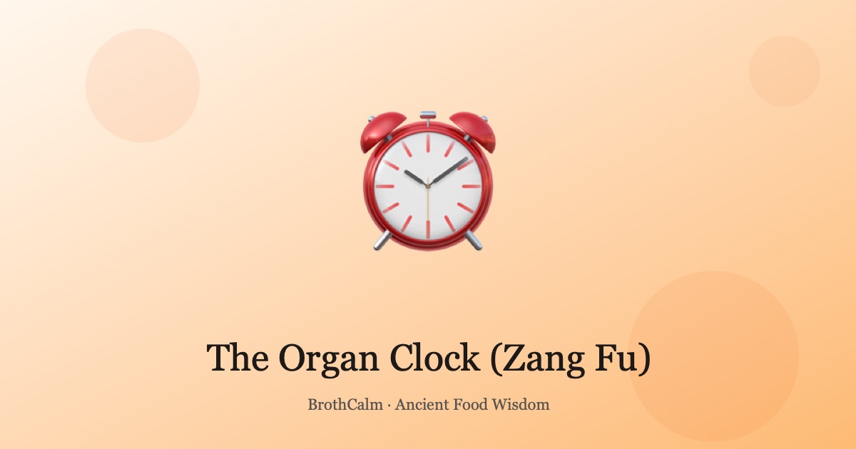 The Organ Clock (Zang Fu) — Eating in Rhythm with Your Body'
