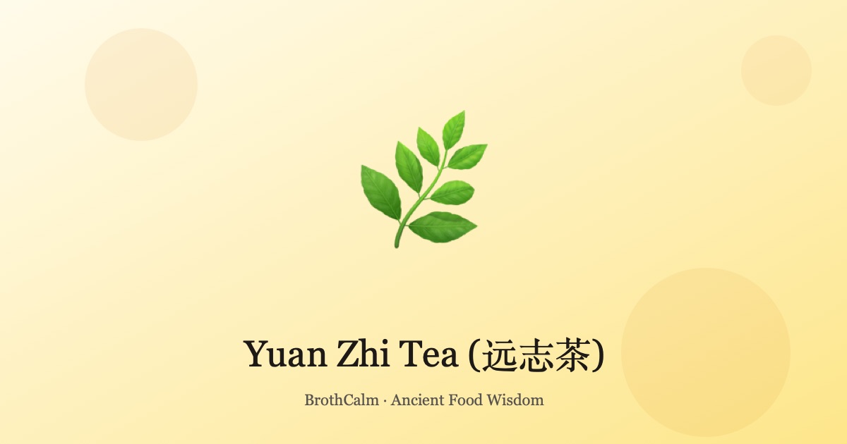 Yuan Zhi Tea (远志茶) — Calming the Shen for Restful Sleep