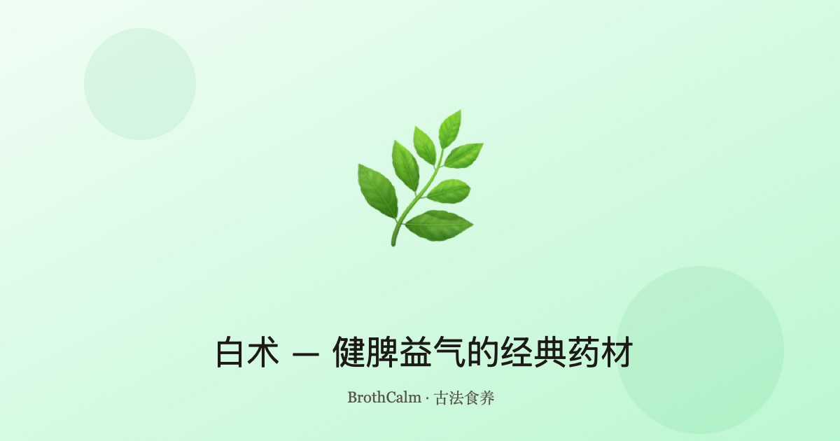 白术 — 健脾益气的经典药材