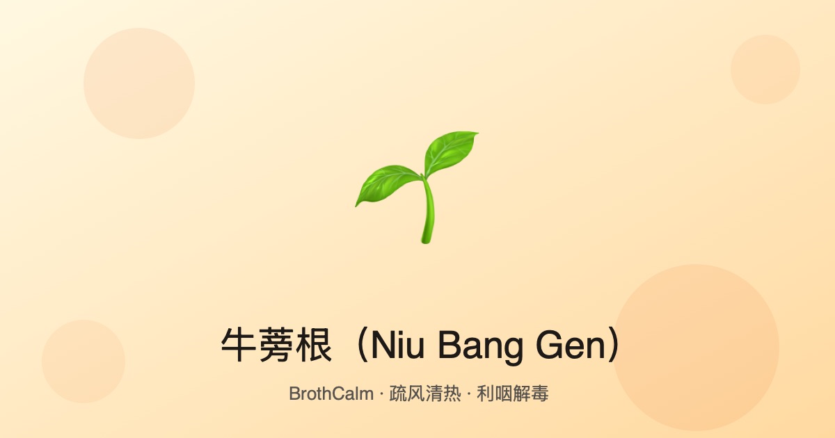 牛蒡根 — 中医食疗里的疏风清热之品
