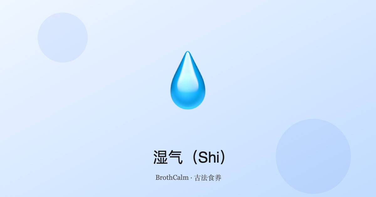 湿气（Shi）—— 中医最常见的体质失衡