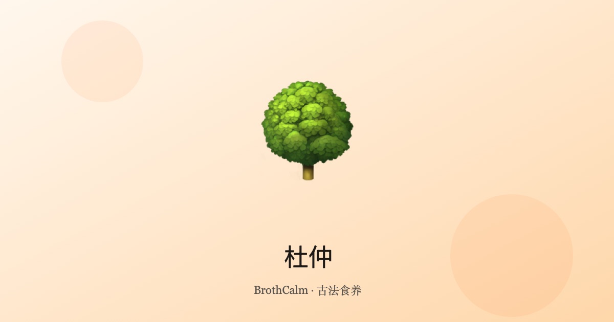 杜仲 — 补肾强腰的传统中药材