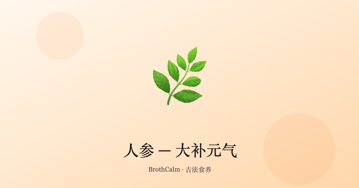 人参 — 大补元气的人参介绍